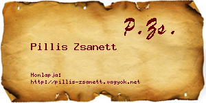 Pillis Zsanett névjegykártya